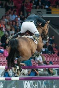 2013, Castle Forbes Myrtille Paulois, FRA, ecco FEI EUROPEAN CHAMPIONSHIPS 2013 DENMARK, fei, herning, psi, roger yves bost