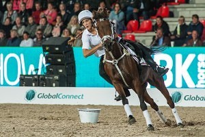 Auch um Mounted Games zu betreiben kann man ein Pony kaufen