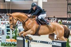 10.11.2013, PREMIO FIXDESIGN, colombo van den Blauwaert, logines fei worldcup, roger yves bost