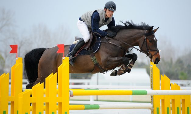 Mediterranean Equestrian Tour 2016 – Woche 2