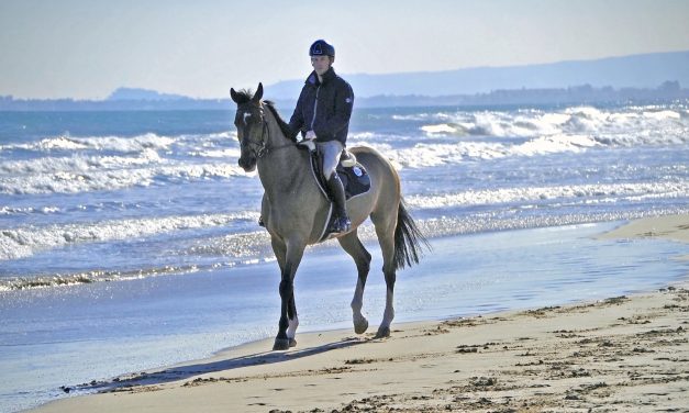 Mediterranean Equestrian Tour – Spring MET II