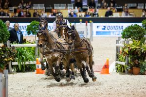 FEI WORLD CUP DRIVING FINAL CAIW Bordeaux 2016. Driving. Winning the first round on Saturday night. Koos DE RONDE (NED). Bonusz, Palero, Joep und Oosterwijk's Kasper