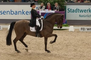 Isabell Werth und Don Johnson FRH (hier bei den VR Classics 2017), Foto: Silvia Reiner