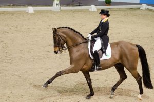 Isabell Werth, Don Johnson FRH, Foto: Hans-Joachim Reiner