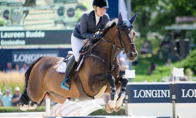 Global Jumping Berlin – Laureen Budde gewinnt den IDEE KAFFEE Preis