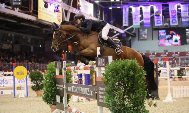 Der Große Preis von Sachsen 2017 – ein Reitsportevent der Extraklasse