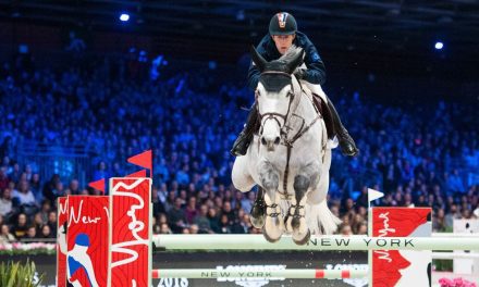 Jumping Amsterdam – Maikel van der Vleuten gewinnt die Qualifikation für das Weltcup-Springen