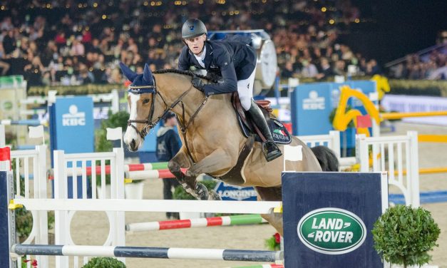 Jumping Mechelen – Niels Bruynseels  siegt im Grand Prix Sport Vlaandren