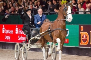 Volker Wulff