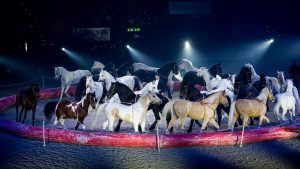 Zurich, Switzerland, 27.1.2018, Sport, Reitsport, Mercedes-Benz CSI Zurich - LGT Private Banking SHOW. Bild zeigt MAYCOL ERRANI of CIRCUS KNIE. 27/01/18, Zurich, Switzerland, Sport, Equestrian sport Mercedes-Benz CSI Zurich - LGT Private Banking SHOW. Image shows MAYCOL ERRANI of CIRCUS KNIE. (Foto: Thomas Reiner)