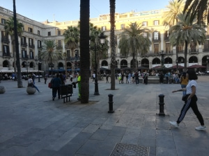 Placa Reial
