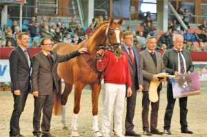 DRESSUR-SIEGER-Nr.19-Quaterback-Brentano-II-Gotland-HuL