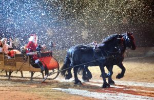 Neustädter Weihnachtsgala 2018 (Foto: Margot Schöning)