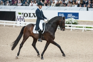 Daniel Bachmann Andersen und Blue Hors Zack (Foto:Archiv)
