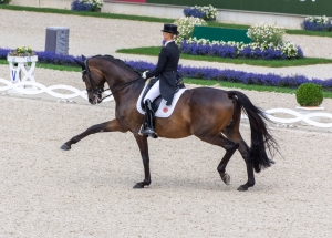 Jessica von Bredow-Werndl mit TSF Dalera BB (Foto:Silvia Reiner, Archiv)