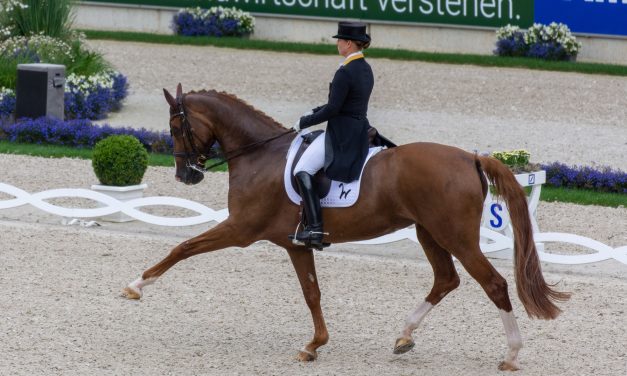 Die 24. Goldmedaille bei Europameisterschaften für das deutsche Dressurteam