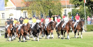 Reiten-in-der-Schule-SM-Udo-Hildebrandt