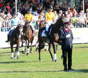 Reiten-in-der-Schule-SM-Udo-Hildebrandt