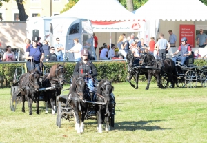 Gäste-RFV-Krumke-Sulky-Quadrille-Fahr-Wettbew.