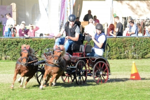 Gäste-RFV-Krumke-Sulky-Quadrille-Fahr-Wettbew