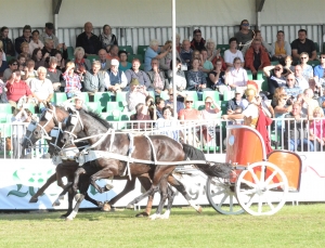 Schluß-RÖMER-GOW-Michael-Düsedau-Charmant-Lukas-Bajano-Acolan