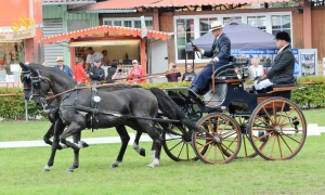 Sandro Koalick