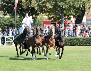 Ungar.-Post-GOW-Düsedau-Allez-Hop-Lemnos-Eva-Donko-Rugby