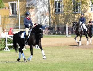 Championats-pferde-GOW-Stafanie-Fiedler-Phantastica-Nr.68