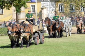 Gäste-Holzrücker-Team-Kaufmann-Altkünkendorf