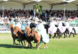 Gäste-Island-Pferde-Quadrille