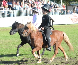 Gäste-Island-Pferde-Quadrille
