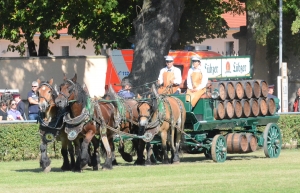 Gäste-Lübzer-Bier-Kutscher-Andreas-LudwigSchapow-Julina-Eggers-Gr-2
