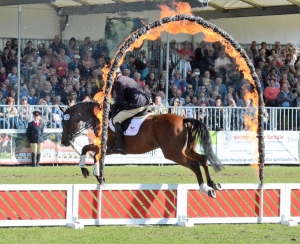 Spring-Quadrille-Feuer