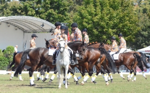 I.-Schlagerparade-Pferdepension-Vikarienmühle-Magdeburg-Teamf.-Lennard-Uhkemann