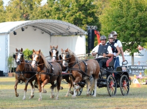 V. PONY 4 SP Kombi Bernd Siegel Nr. 24, PSV Domstadt Naumburg