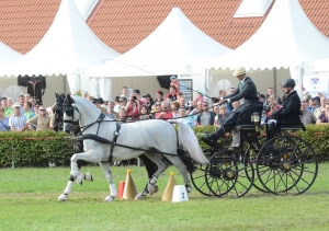WM-Sieger-HUN-Martin-Hölle-Nr.44-Dior-Epple