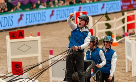 Bram Chardon siegt in der Sparkassen – Trophy bei der Partner Pferd 2026