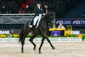 Dorothee Schneider, Foto- Archiv