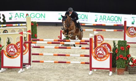 Neuro Socks Amadeus Horse Indoors – Zweiter Sieg für Felix Haßmann
