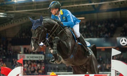 Die Partner Pferd 2026 hat begonnen