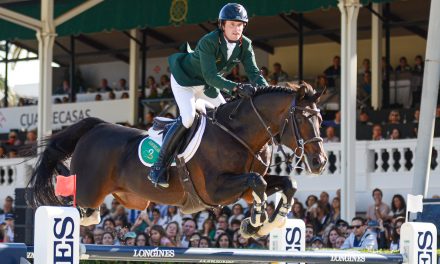 Irischer Sieg durch Darragh Kenny  im Weltcup bei der London International Horse Show 2024