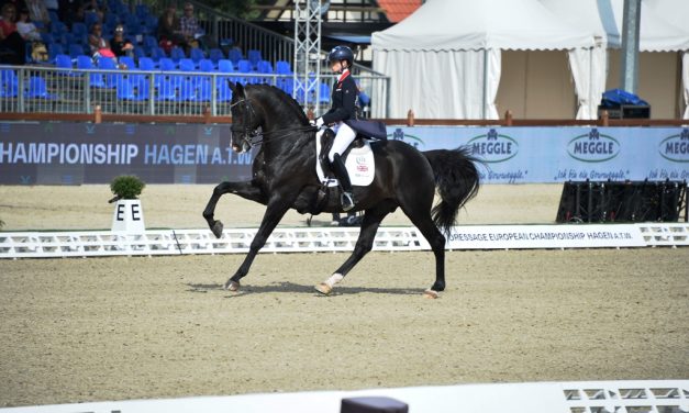 FEI Dressage European Championship – Tag 1 der Teamentscheidung