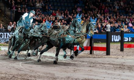 Sieg für Weltmeister Boyd Exell  beim Weltcup der Vierspänner in Stockholm