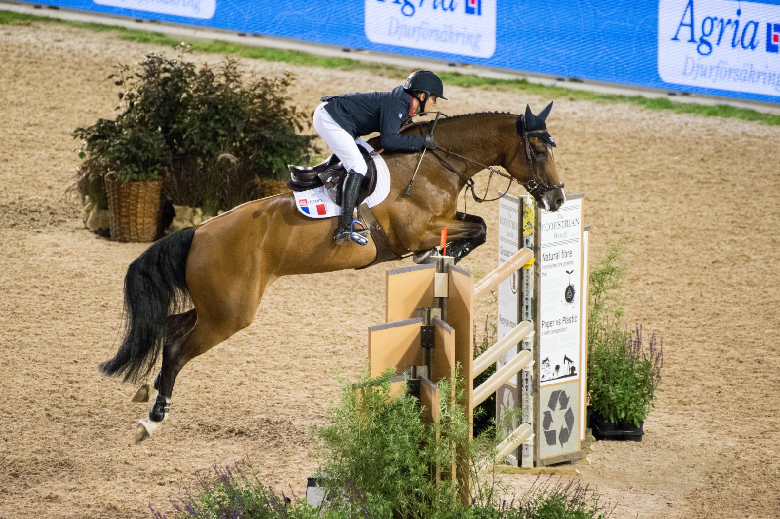 International jumping class Reitsport Portal