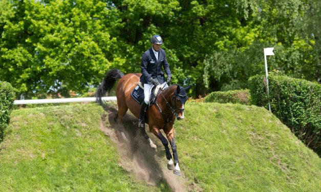 AL SHIRA`AA Deutsches Spring- und Dressur-Derby 2025 – ein Blick voraus