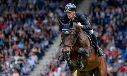 Longines FEI Jumping European Championships 2025: Die Pferde des deutschen Teams sind fit!