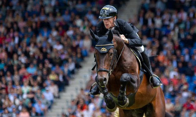 Longines FEI Jumping European Championships 2025: Die Pferde des deutschen Teams sind fit!