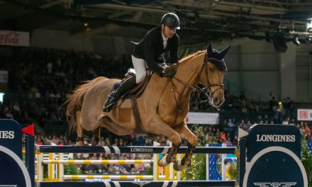 Saut Hermes 2026: Francois Xavier BOUDANT gewinnt den Prix Hermès Sellier CSI 5*
