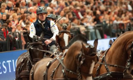 Dries Degrieck und Bram Chardon mit großartigem Doppelsieg im LONGINES FEI Driving World Cup™ von Mechelen