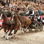 Partner Pferd 2024: Dries Degrieck – der schnellste Fahrer in Leipzig